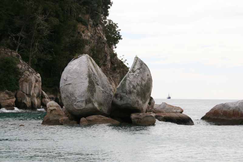 Nieuw-Zeeland 2011 - 0990